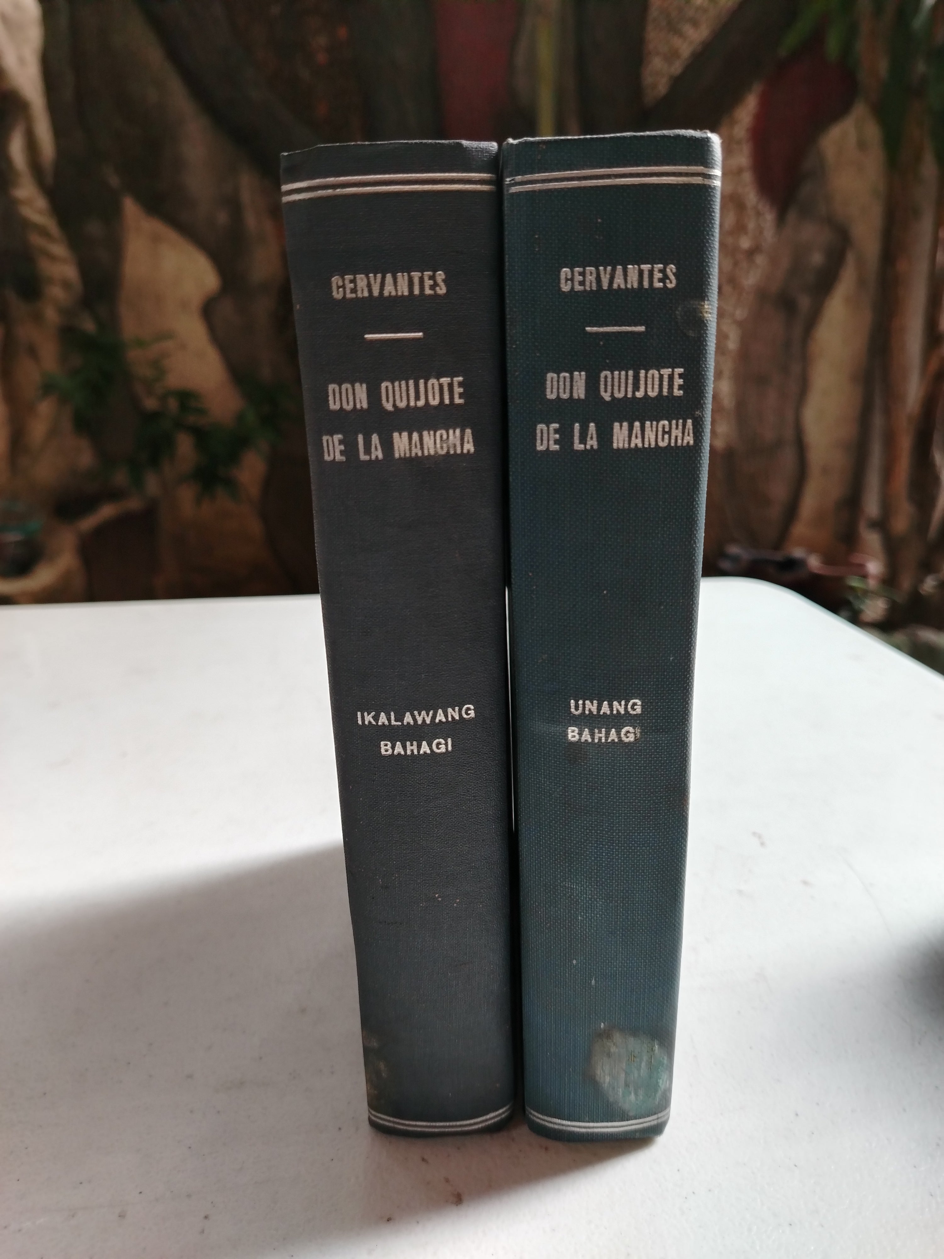 DON QUIJOTE DE LA MANCHA BOOK SET OF 2