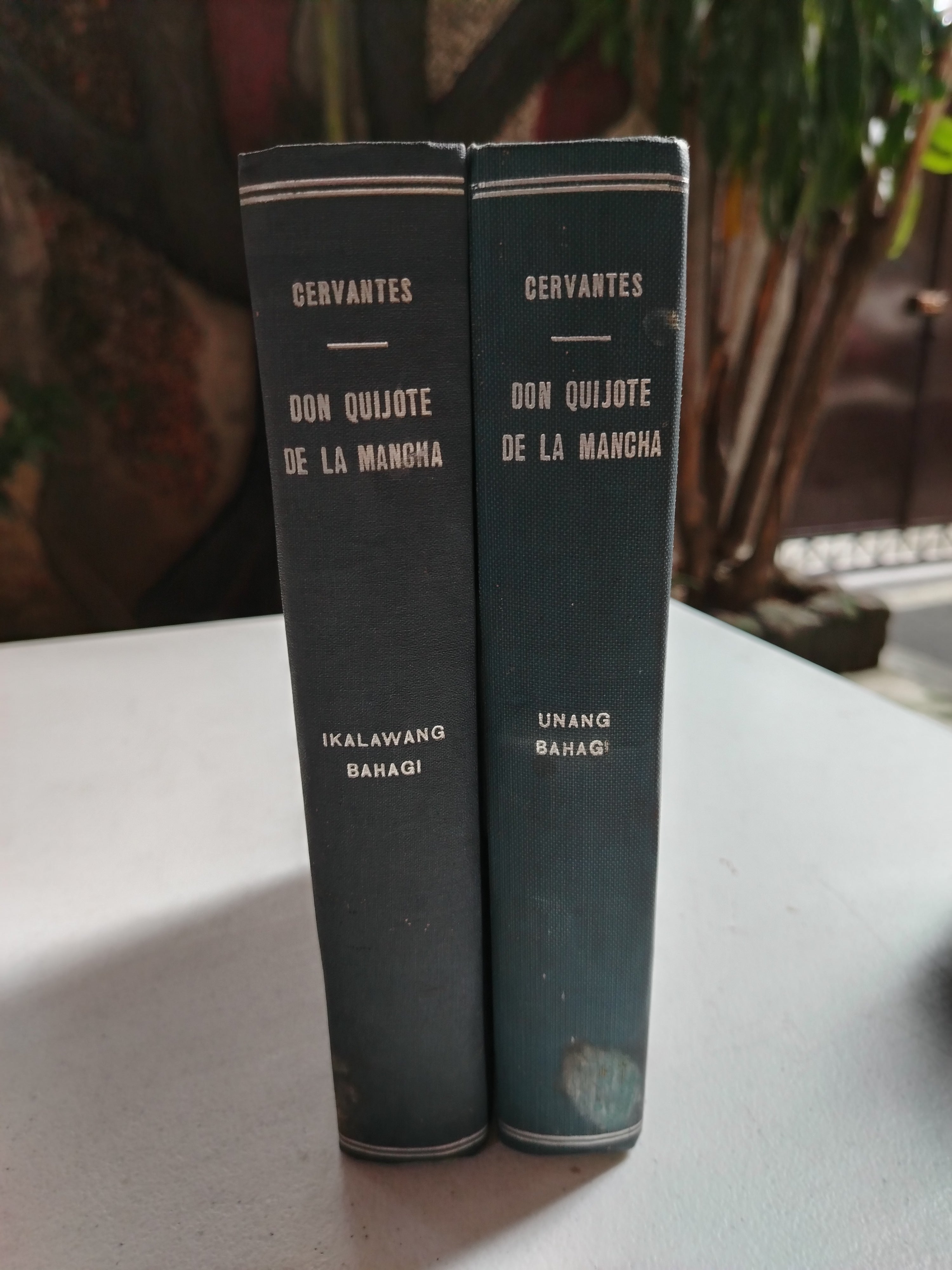 DON QUIJOTE DE LA MANCHA BOOK SET OF 2