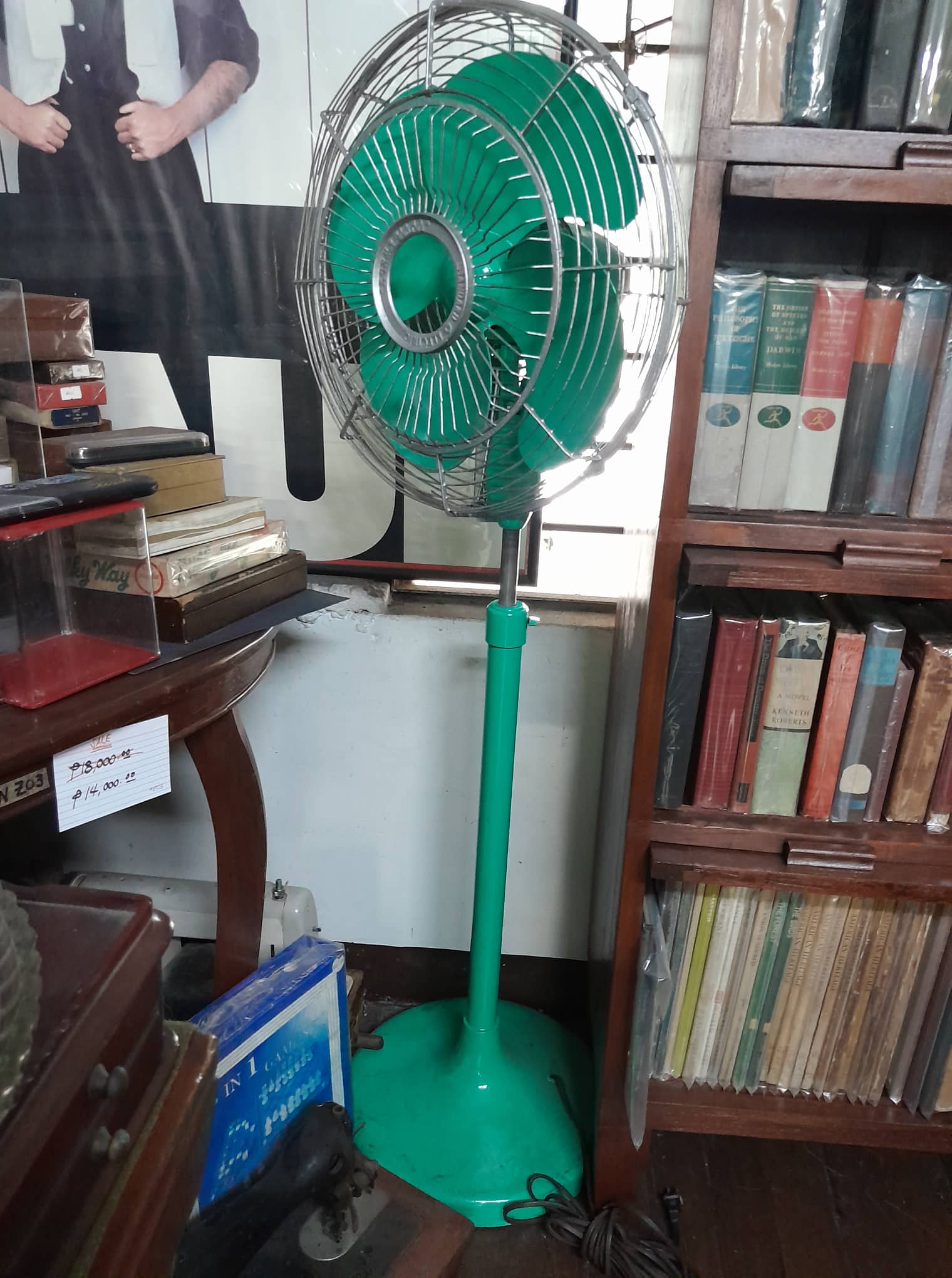 Electric Fan (Standard)